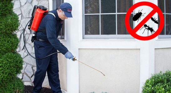 Keles Bit İlaçlama böcek ilaçlama ve haşere kontrolü — ilaclama-tr.com